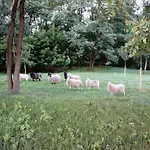 Ferien In Himmelpfort