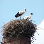 Ferien In Himmelpfort