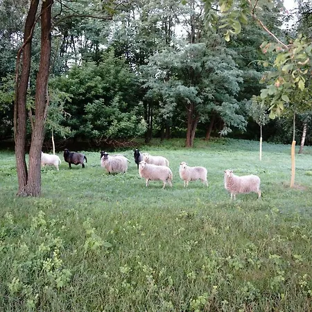 Ferien In Himmelpfort