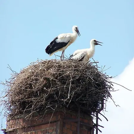 Ferien In הימלפפורט