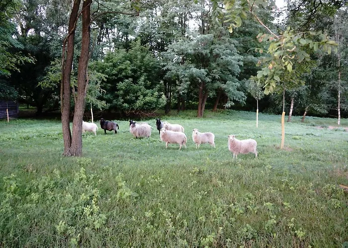 Ferien In Himmelpfort