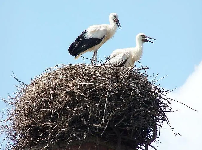 Ferien In Himmelpfort